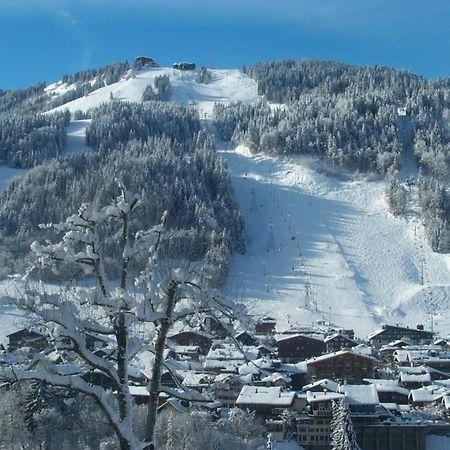 Hotel & Spa Le Dahu Morzine Exteriör bild