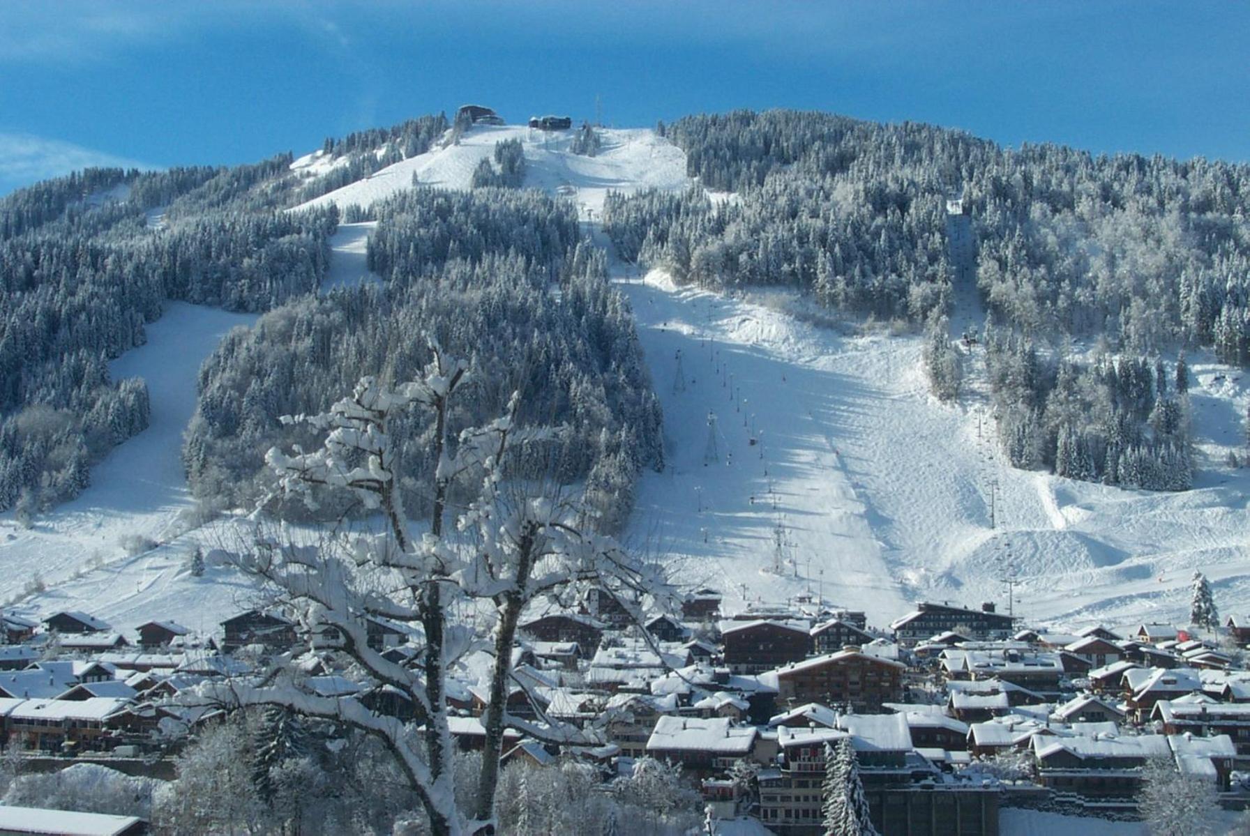 Hotel & Spa Le Dahu Morzine Exteriör bild